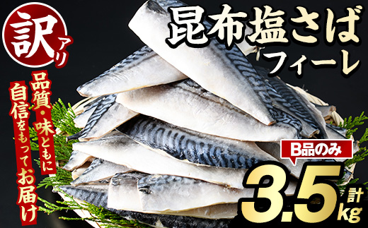 訳あり！昆布塩さばフィーレ(B品のみ3.5kg) 大容量 ボリューム サバ 鯖 フィレ 魚介類 海産物 海鮮 海の幸 おかず おつまみ 惣菜 グリル 焼き魚 煮魚 切り身 昆布 塩サバ 脂 ご家庭用 リピート 【グローバルフーズ】a-15-46-z