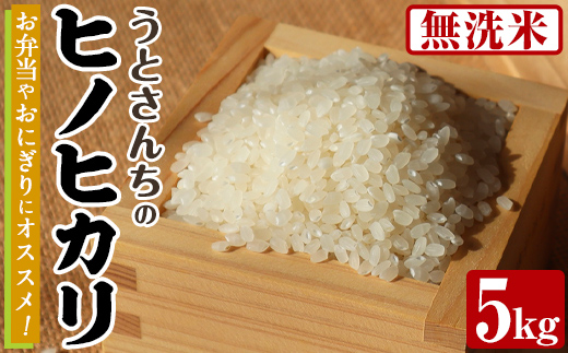 無洗米 ヒノヒカリ (5kg) 国産 米 お米 コメ 白米 ひのひかり ごはん ご飯 お弁当 おにぎり 【うとさんち】akn067-19