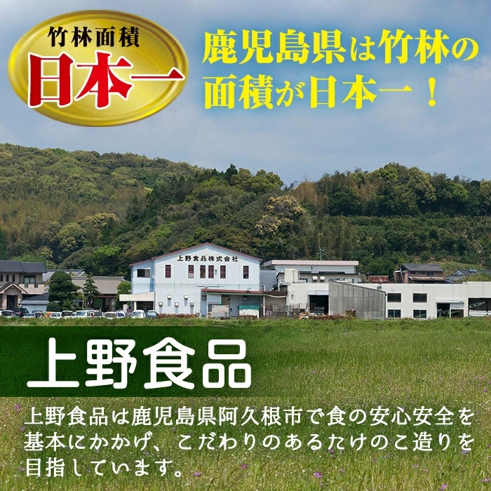 国産味付タケノコキムチ(100g×10パック)国産 筍 辛味 ピリ辛 焼肉 おかず おつまみ【上野食品】a-12-75