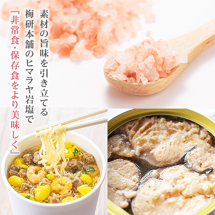 災害用 食塩 ピンク岩塩(小粒×3袋・100g/袋) ヒマラヤ岩塩 ピンク岩塩 岩塩 塩 食塩 調味料 ミネラル 熱中症対策 災害用 防災グッズ 災害対策 備蓄 【梅研本舗ジャパン】a-10-62-z