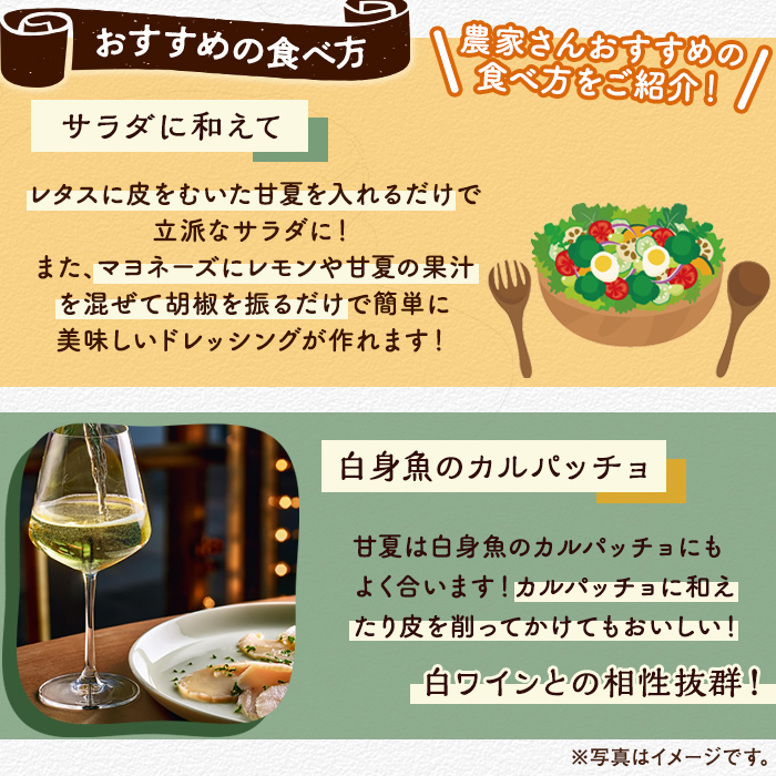 訳あり！有機JAS 甘夏(約15kg) 国産 果実 果物 フルーツ 柑橘 デザート 訳アリ 期間限定 有機栽培 【中村農場】akn084-08