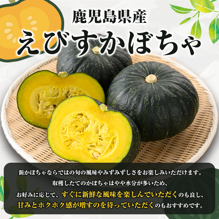 ＜先行予約受付中！2026年5月上旬以降順次発送予定＞鹿児島県産 えびすかぼちゃ(約5kg) 国産 野菜 かぼちゃ カボチャ 南瓜 煮物 天ぷら バーベキュー BBQ スイーツ お菓子 期間限定【松永青果】akn053-04
