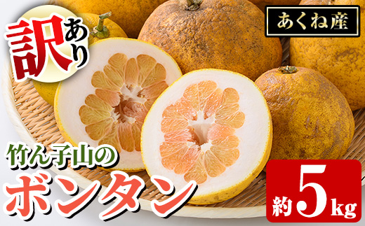 訳あり！竹ん子山のボンタン(約5kg) 国産 鹿児島県産 阿久根産 柑橘 果物 フルーツ ぼんたん 文旦 訳アリ 果実 期間限定 数量限定 【竹ん子山】akn097-15