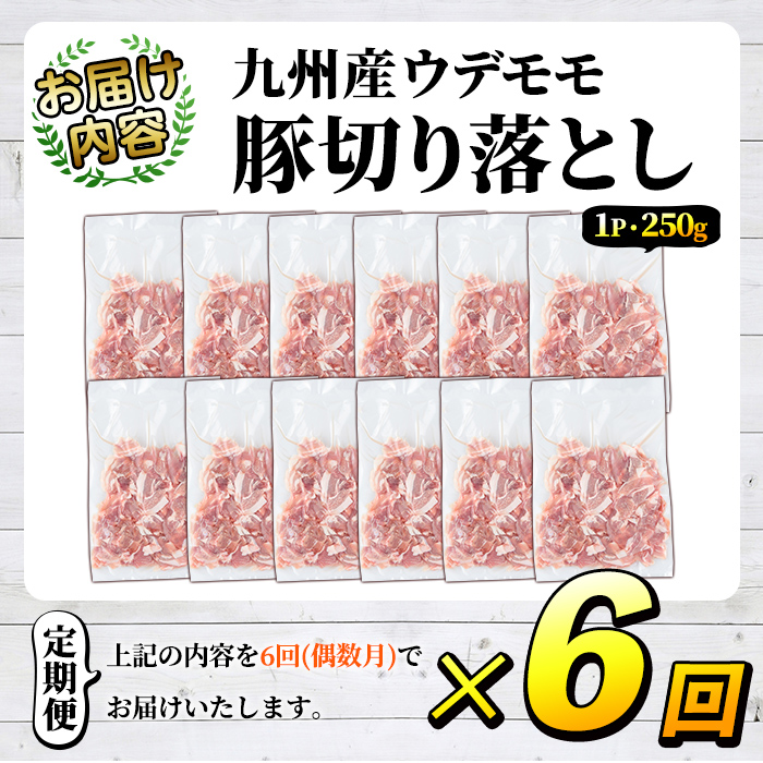 ＜定期便・全6回(偶数月)＞豚肉ウデモモ切り落とし(計18kg・1パック250g) 小分け 国産 豚肉 豚小間 真空パック 家庭用 豚こま 定期便 スライス 焼肉 BBQ 冷凍配送 個包装 切り落し 切落し すき焼き しゃぶしゃぶ セット 詰め合わせ 数量限定【三九】a-93-1-z