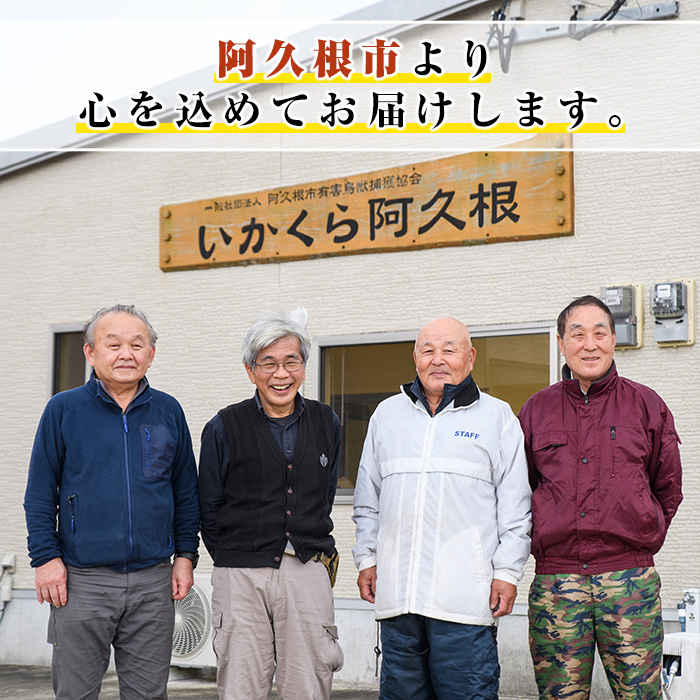 阿久根産！中びき 鹿肉&猪肉ミンチ(合計1.2kg・300g×各2P) 国産 肉 鹿肉 しか肉 シカ肉 猪肉 しし肉 シシ肉 いのしし肉 イノシシ肉 ミンチ 中挽き 中びき ジビエ 冷凍【一般社団法人いかくら阿久根】a-16-48-z