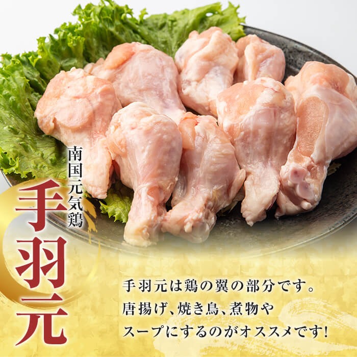 ＜定期便・全4回(隔月)＞鹿児島県産！南国元気鶏 もも肉・ムネ肉・手羽元・砂肝スライス定期便(総計9.5kg) 国産 九州産 鹿児島産 モモ肉 鶏モモ むね肉 胸肉 鶏ムネ 手羽元 砂肝 小分け 定期便 おかず おつまみ 【さるがく水産】akn028-43
