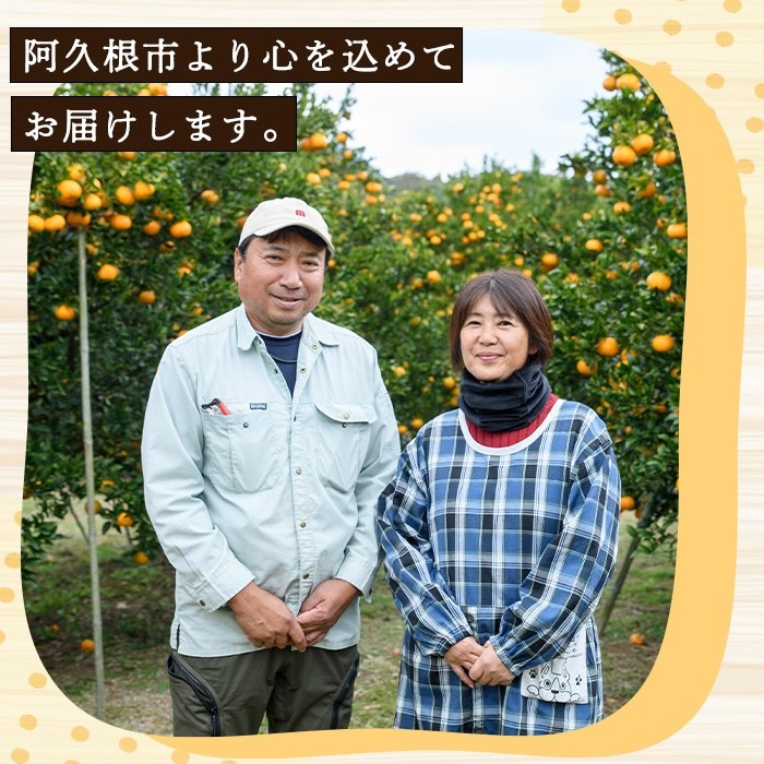 ＜先行予約受付中！2027年5月下旬以降順次発送予定＞ 訳あり！じゃがいも「メークイン」(約5kg) じゃがいも ジャガイモ 芋 国産 野菜 期間限定 数量限定 肉じゃが ポテトサラダ カレー シチュー 【古田果樹園】akn093-01