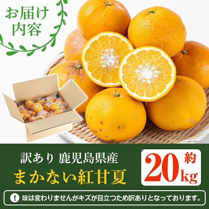 シ懷郁。御コ育エ蜿嶺サ倅クュシ2027蟷エ3譛井ク頑流莉・髯埼谺。逋コ騾∽コ亥ョ夲シ 險ウ縺ゅjシ鮖ソ蜈仙ウカ逵檎肇縺セ縺九↑縺邏逕伜、(邏20kg) 蝗ス逕」 鮖ソ蜈仙ウカ逕」 譟第ゥ 險ウ繧「繝ェ 譫懃黄 繝輔Ν繝シ繝 譌ャ 蟶ク貂ゥ菫晏ュ 邏逕伜、 繝吶ル繧「繝槭リ繝 謨ー驥城剞螳 譛滄俣髯仙ョ 隕乗シ螟 繝繧カ繝シ繝 髦ソ荵譬ケ蟶ら肇縲蝉ク臥ャ霎イ讌ュ逕溽肇縲疎kn051-05