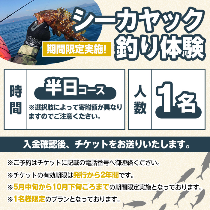 期間限定実施『パズル』オリジナル！シーカヤック釣り体験チケット(半日/1名) 阿久根 釣り シーカヤック アウトドア アクティビティ 自然 体験 ツアー チケット 海 マリンスポーツ 魚【パズル】a-40-16-z