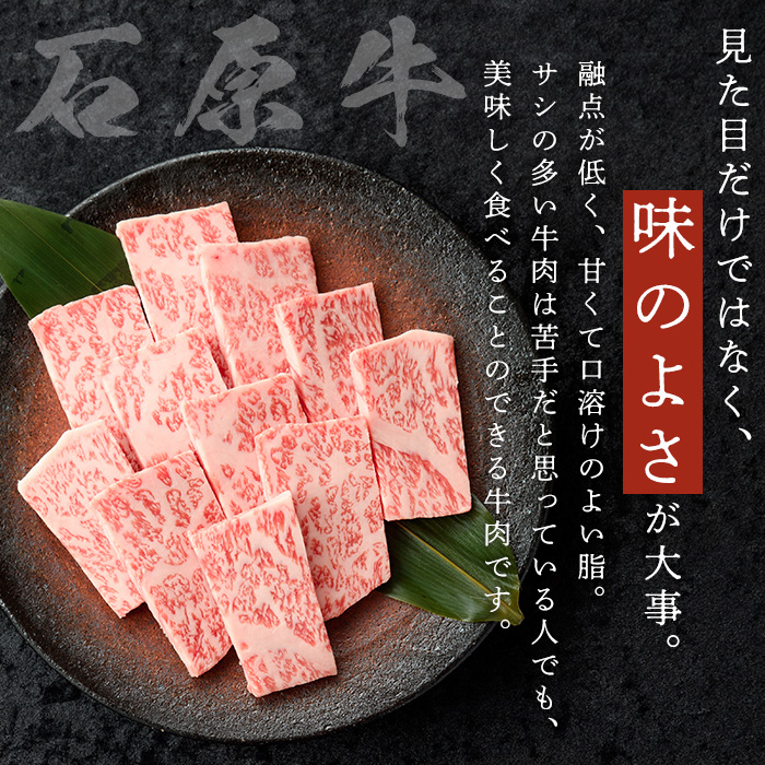 石原牛 霜降りロース 焼肉用(300g) 黒毛和牛 国産 九州産 鹿児島県産 ブランド牛 焼肉 BBQ 牛肉 和牛 霜降り ロース 冷凍 贅沢 贅沢な一品 贈答用 ギフト用【株式会社石原PRO】a-26-12-z