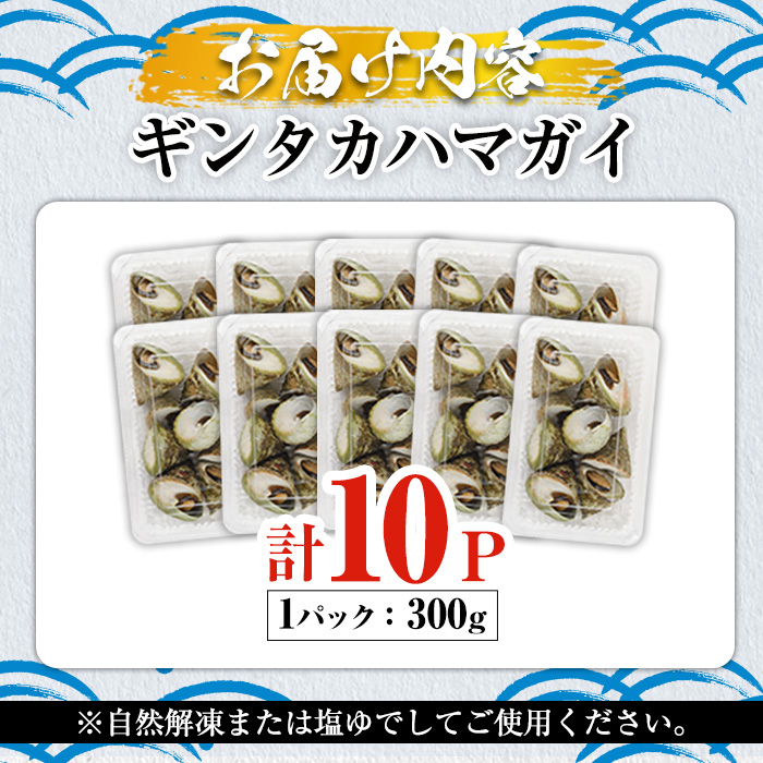 数量限定！ギンタカハマガイ(三角みな)ボイル(300g×10パック)国産 鹿児島県産 貝 魚介類 おかず 料理 おつまみ【福美丸水産】a-28-13-z