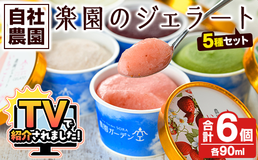 ＼テレビで紹介されました！／農園ガーデン空 楽園のジェラートセット(90ml×6個) ジェラート アイス いちご いちごミルク レモン ブルーベリー 抹茶 デザート スイーツ おやつ 夏 鹿児島 バラエティ バレンタイン ホワイトデー【農園ガーデン空】akn026-12