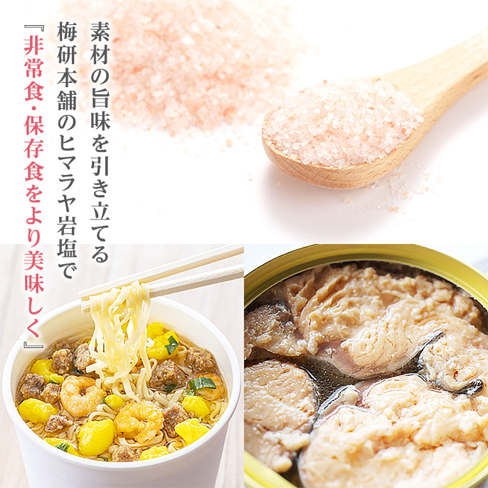 災害用 食塩 ピンク岩塩(あら塩×5袋・100g/袋) ヒマラヤ岩塩 ピンク岩塩 岩塩 塩 食塩 調味料 ミネラル 熱中症対策 災害用 防災グッズ 災害対策 備蓄 【梅研本舗ジャパン】a-12-364-z