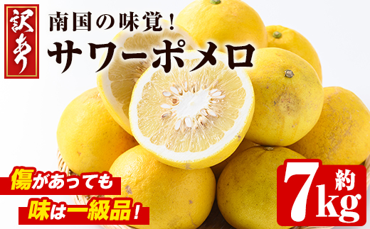 ＜先行予約受付中！2026年2月下旬以降発送予定＞＜訳あり・傷あり＞数量限定！サワーポメロ(約7kg) 国産 フルーツ 果物 柑橘類 サワーポメロ 甘味 酸味 デザート おやつ 訳あり【なかむら果樹園】akn014-01
