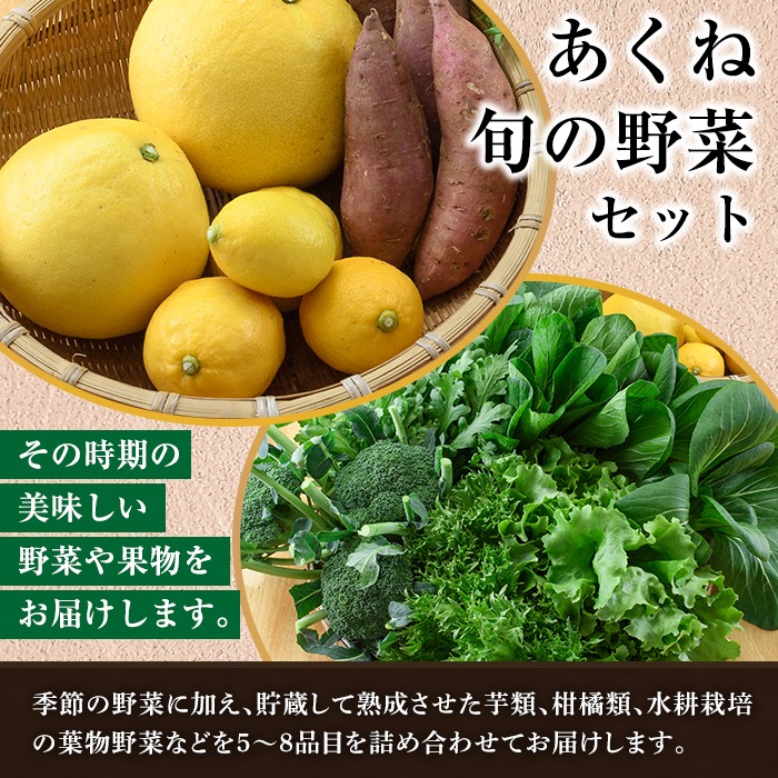 ＜定期便・全2回(6月・11月)＞あくね旬の野菜おまかせセット(5〜8品目) 小松菜、レタス、青梗菜の3品目とその他野菜2品目以上を詰め合わせて全2回お届け！ ふるさと納税 阿久根市 特産品 野菜 お楽しみ さつまいも 芋【合同会社グッドフィールド】a-24-23-z