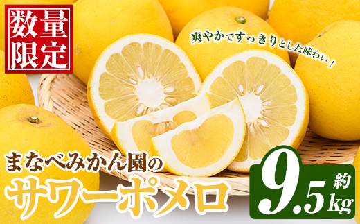 まなべみかん園のサワーポメロ (約9.5kg) 国産 鹿児島県産 阿久根市産 柑橘類 みかん ミカン 蜜柑 果物 フルーツ サワーポメロ 期間限定 数量限定 贈答用 ギフト デザート 【有限会社まなべみかん園】akn034-07