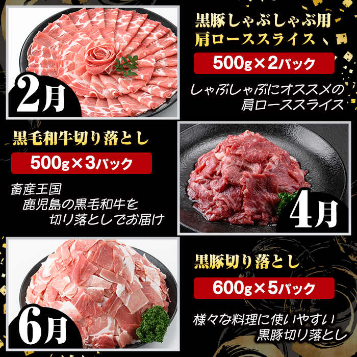 ＜定期便・全6回(偶数月)＞6人家族用！鹿児島県産 黒毛和牛・黒豚 定期便 C (総量約9kg) 国産 黒豚 しゃぶしゃぶ 肩 ロース スライス 訳あり 切り落とし 黒毛和牛 サーロイン ステーキ 黒豚 バラ カタ ウデ 小分け セット 【スターゼン】akn042-39