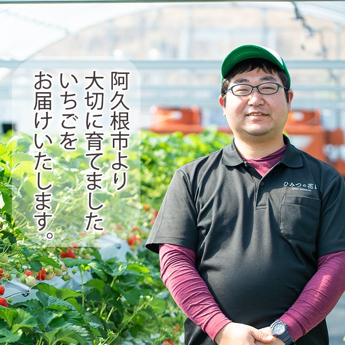 農園ガーデン空産いちご 恋みのりセット(計1.1kg・280g×4P)国産 イチゴ 苺 フルーツ 果物【農園ガーデン空】akn026-02