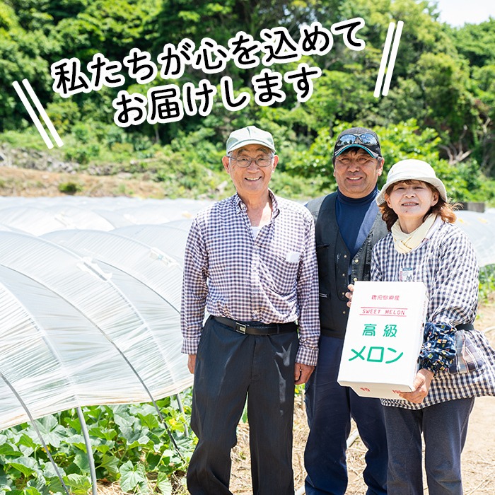 ＜先行予約受付中！2025年6月以降順次発送予定＞鹿児島県産！南国グリーンメロン(2Lサイズ×5個) メロン めろん 果物 スイーツ デザート フルーツ 【あくね旬の店いきいき館】a-24-53-z