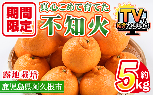 ＜先行予約受付中！2027年3月上旬以降順次発送予定＞ ＼テレビで紹介されました！／数量限定！鹿児島県産 露地栽培の不知火(計約5kg：大将季) 国産 みかん ミカン 柑橘 フルーツ 果物 旬 デザート 期間限定 しらぬい シラヌイ【三笠農業生産】akn051-10