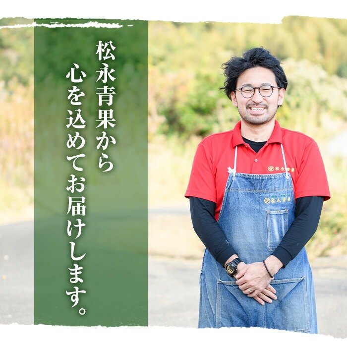 ＜先行予約受付中！2026年3月以降順次発送予定＞フルーツ綿あめ「雲の果実」アソートセット(約40g×4種・Bセット) 国産 阿久根産 わたあめ 綿飴 果汁 果物 いちご サワーポメロ ぼんたん 大将季 おやつ スイーツ 【松永青果】akn053-47