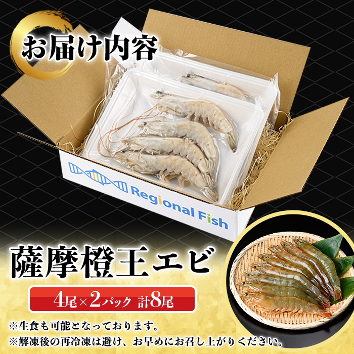 薩摩橙王エビ(4尾入×2パック) 国産 鹿児島県産 阿久根市産 えび 海老 魚貝類 魚介類 海産物 養殖 冷凍 期間限定 数量限定 焼き海老 焼きエビ バナメイエビ シロアシエビ 生食可 【リージョナルフィッシュ株式会社】akn105-01
