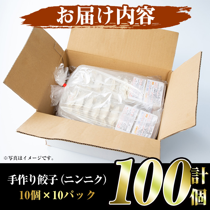 国産豚肉使用！手作りニンニク餃子(計100個・10個×10パック)国産 ギョウザ ぎょうざ お肉 にんにく おかず 惣菜 おつまみ【スーパーよしだ】a-12-113-z