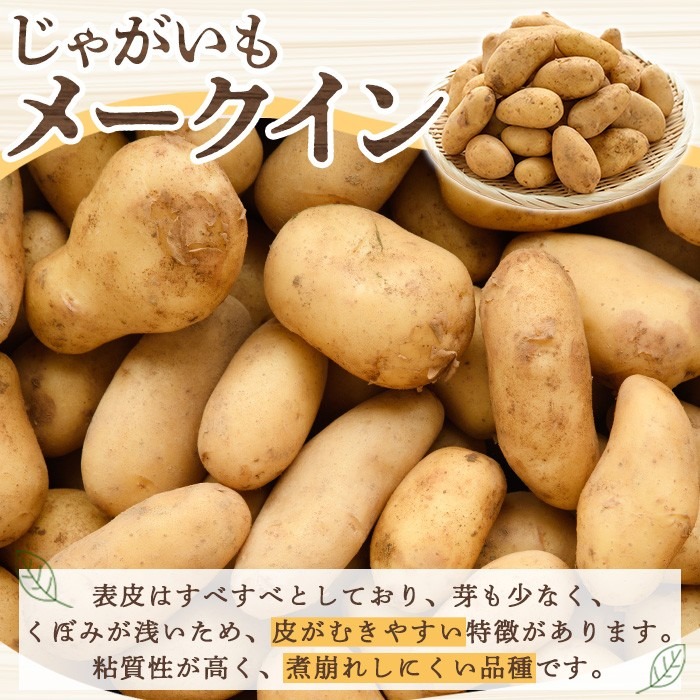 ＜先行予約受付中！2027年5月下旬以降順次発送予定＞ 訳あり！じゃがいも「メークイン」(約5kg) じゃがいも ジャガイモ 芋 国産 野菜 期間限定 数量限定 肉じゃが ポテトサラダ カレー シチュー 【古田果樹園】akn093-01