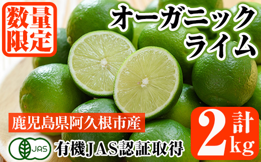 数量限定！有機JAS オーガニックライム(計2kg) 国産 果実 果物 フルーツ 柑橘 デザート 期間限定 有機栽培 健康志向【中村農場】a-13-42