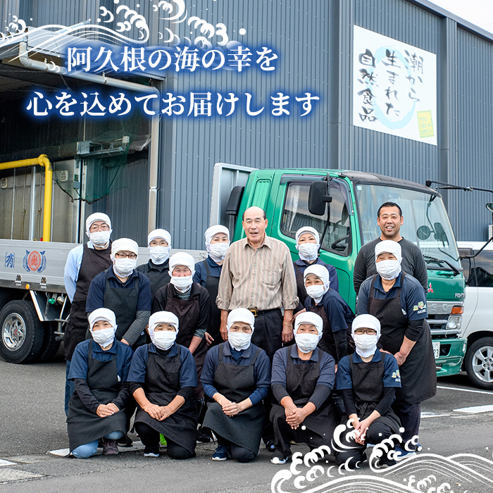 訳あり！イワシ丸干しセット(合計200尾以上) 国産 鹿児島県産 阿久根市産 魚 魚介 水産 訳あり 訳アリ いわし 鰯 ウルメイワシ うるめいわし めざし 真イワシ 真いわし マイワシ まいわし 丸干 一夜干 食べ比べ セット 詰め合わせ 【鈴木海産】akn091-03