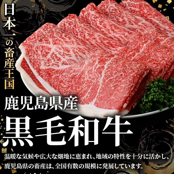 鹿児島県産 黒毛和牛 モモスライス＆訳あり！豚切り落とし (合計1.1kg) 切り落とし 国産 鹿児島県産 豚肉 ブタ おかず 個包装 小分け 薄切り うす切り 冷凍 切り落し 切落し 牛肉 スライス 食べ比べ セット 【スターゼン】akn042-30