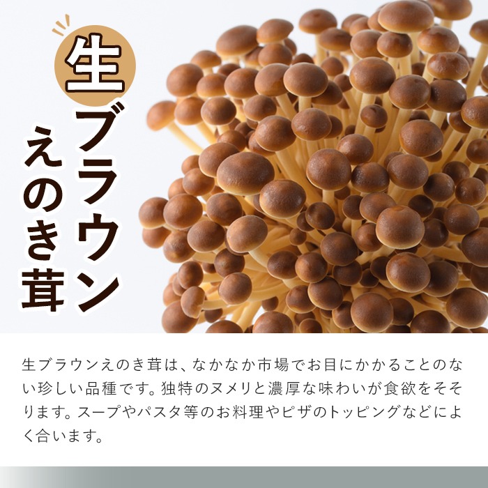 数量限定！原木生しいたけと生えのき茸セット(13袋・合計2.7kg) 国産 椎茸 個包装 小分け きのこ えのき茸 しいたけ 椎茸 シイタケ 詰め合わせ セット【三笠えのき茸生産組合】a-12-222-z