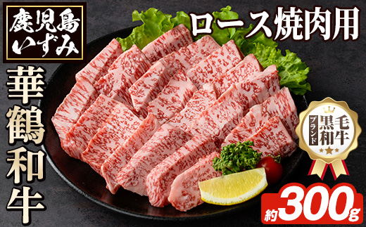 商標登録のブランド黒毛和牛肉！鹿児島いずみ華鶴和牛の焼き肉用ロース(約300g) 阿久根市 国産 九州産 鹿児島県産 特産品 肉 牛肉 焼肉 希少【鹿児島いずみ農業協同組合】a-20-1-z