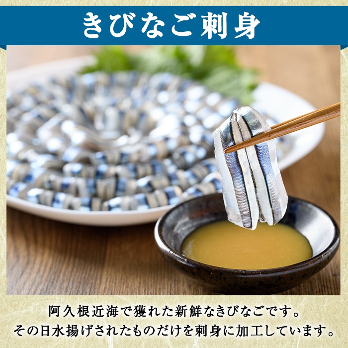 ＜2回定期便＞鹿児島県産！阿久根のきびなごお刺身セット (計560尾・40尾×7パック×2回) 冷凍 魚介類 海鮮 魚 きびなご キビナゴ 刺身 さしみ 刺し身 青魚 子魚 小分け 定期便 阿久根市産 国産 【椎木水産】akn054-17