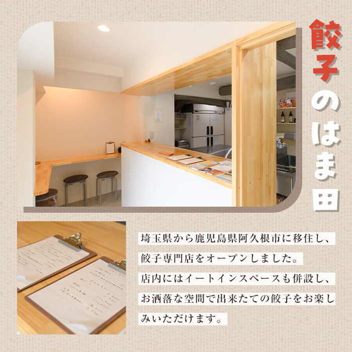 ＼テレビで紹介されました！／ニラ餃子(計48個・12個入り×4袋) 餃子 生餃子 ギョウザ ぎょうざ ギョーザ セット 詰め合わせ おかず お惣菜 冷凍 和風 水餃子【餃子のはま田】akn096-01
