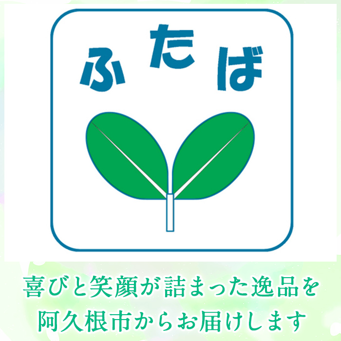 さをり織り外ポケットバッグ＆ティッシュケース(計2つ)国産 トートバッグ 小物入れ 工芸品 手提げ【デイハウスふたば脇本】akn041-05