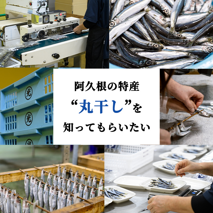 èš³ããïŒãããçŽïŒãããå¹²ç©ïŒ(èš250gã»50gÃ5P) åœç£ 鹿å
å³¶çç£ é¿ä¹
æ ¹åžç£ é éä» æ°Žç£ èš³ãã èš³ã¢ãª ã€ã¯ã· é°¯ çããã å¹²ç© ãã€ãŸã¿ ãã〠ãéŽæšæµ·ç£ãakn091-04