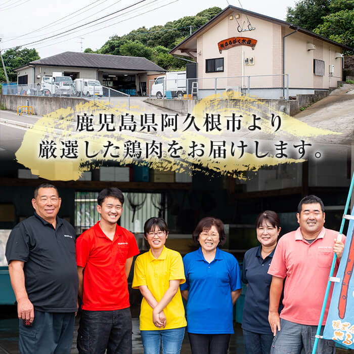 鹿児島県産鶏肉！南国元気鶏Hセット(合計6kg・もも肉：500g×6P、ムネ肉：500g×6P) 国産 鹿児島県産 鶏肉 肉 お肉 ムネ肉 むね肉 胸肉 モモ肉 もも肉 南国元気鶏 小分け 小パック【さるがく水産】a-30-11