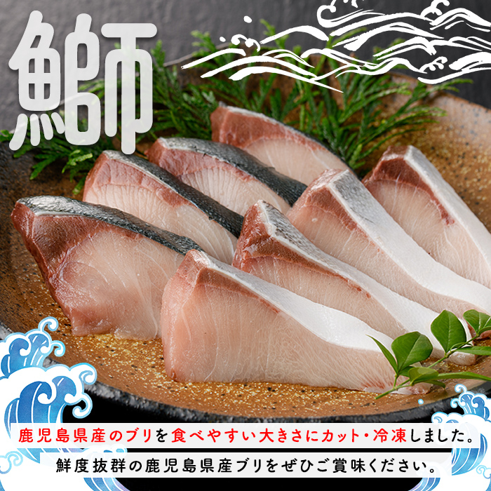 ブリの切り身(真空パック・約1kg) 国産 鹿児島県産 ブリ 鰤 魚貝 魚介 海産物 焼き魚 煮つけ ブリカツ 真空 【株式会社島水】akn102-03