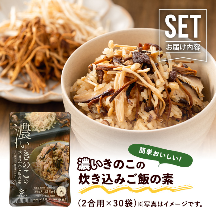 国産のえのきやきのこ使用！濃いきのこの炊き込みご飯の素(2合用×30袋) 国産 だし醤油 きのこご飯 椎茸 しいたけ 【三笠えのき茸生産組合】akn010-19