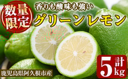 ＜先行予約受付中！2026年9月以降順次発送予定＞数量限定！リスボングリーンレモン(5kg)国産 果実 果物 リスボンレモン フルーツ 檸檬 柑橘 デザート 期間限定【桐野柑橘株式会社】akn070-14