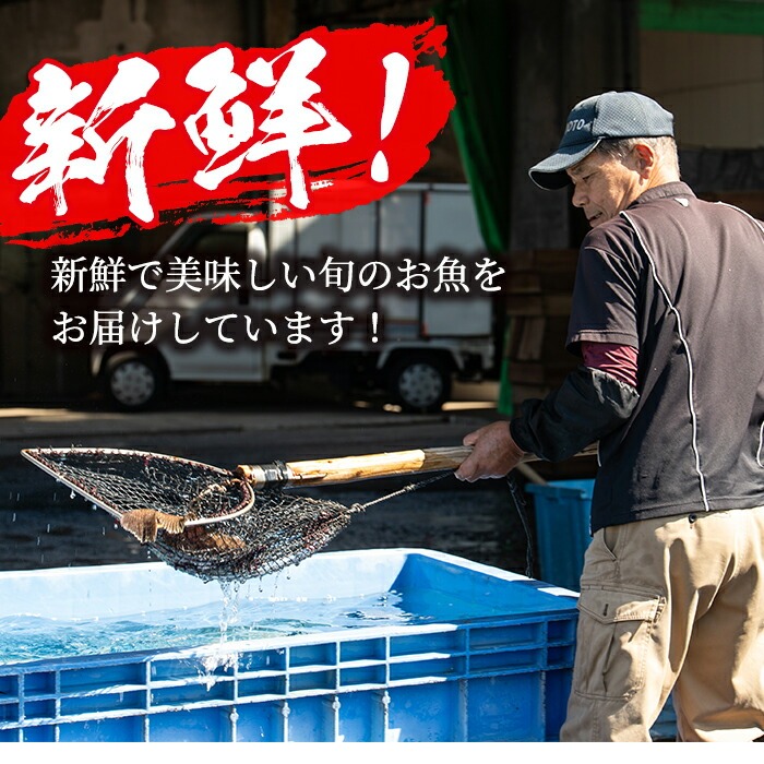 ＜冷凍＞鹿児島県阿久根産 天然きびなごのお刺身(計160尾・20尾×8パック) 国産 魚介 魚貝 海産物 鮮魚 刺身 天ぷら 冷凍配送 キビナゴ 海鮮丼 食品 セット 詰め合わせ 水産加工品 【濱崎魚類】a-12-227-z