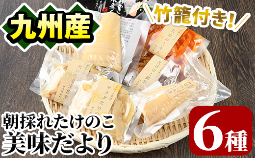 たけのこ美味だより(6種)国産 加工品 惣菜 弁当 おかず 筍水煮 たけのこご飯の素 簡単調理 贈答 ギフト プレゼント【上野食品】a-12-24-z