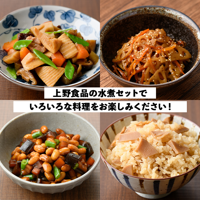 たけのこ・れんこん・大豆の水煮(合計10袋)国産 九州産 筍 水煮 蓮根 野菜 使い切り 小分け 個包装【上野食品】a-12-200-z