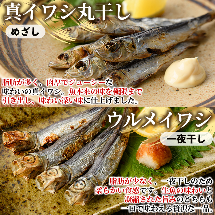 訳あり！イワシ丸干しセット(合計200尾以上) 国産 鹿児島県産 阿久根市産 魚 魚介 水産 訳あり 訳アリ いわし 鰯 ウルメイワシ うるめいわし めざし 真イワシ 真いわし マイワシ まいわし 丸干 一夜干 食べ比べ セット 詰め合わせ 【鈴木海産】akn091-03