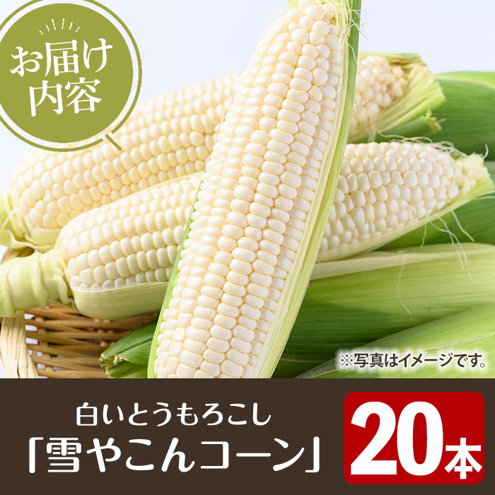 çœããšããããããéªãããã³ãŒã³ã(20æ¬) åœç£ ããŠã¢ãã³ã· çèé» ãã¯ã€ã ã³ãŒã³ éè ç³åºŠ å€ ã€ãç§ æ°ééå® æééå® ãããšããã¡ãakn067-27