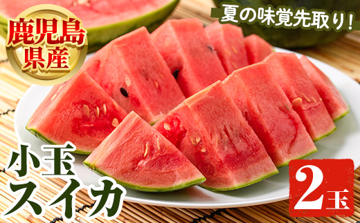 ＜先行予約受付中！2026年5月下旬以降順次発送予定＞鹿児島県産 小玉スイカ(2玉) 国産 果物 スイカ すいか 西瓜 フルーツ スイーツ スムージー ジュース 期間限定【松永青果】akn053-06