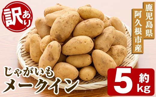 ＜先行予約受付中！2027年5月下旬以降順次発送予定＞ 訳あり！じゃがいも「メークイン」(約5kg) じゃがいも ジャガイモ 芋 国産 野菜 期間限定 数量限定 肉じゃが ポテトサラダ カレー シチュー 【古田果樹園】akn093-01