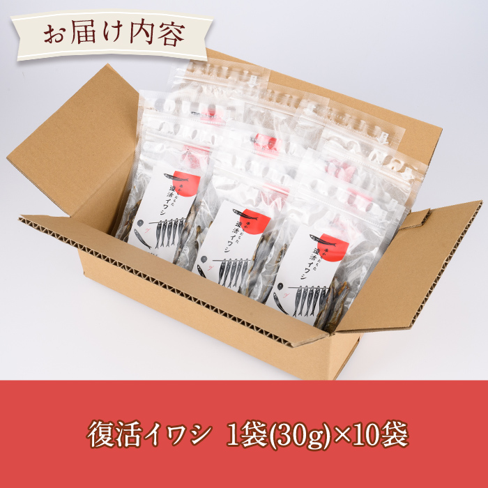 復活イワシ(10パック) おやつ お菓子 いわし イワシ 鰯 ウルメイワシ 丸干し カルシウム セット 詰め合わせ【下園薩男商店】a-13-36-z