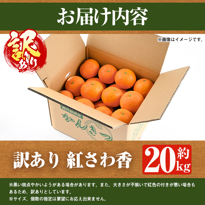 ＜先行予約受付中！2026年2月上旬以降順次発送予定＞訳あり 紅さわ香(約20kg) 国産 鹿児島県 阿久根市 果実 果物 フルーツ 柑橘 みかん ミカン 紅甘夏 期間限定 数量限定 【桐野柑橘株式会社】akn070-19